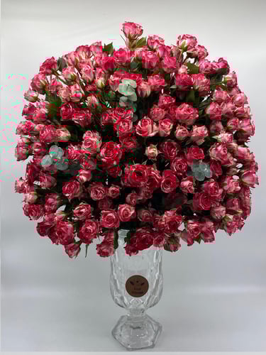 فازة الذكرى