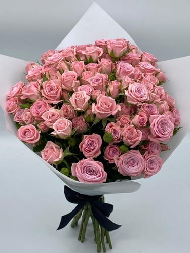 بوكية فيولا