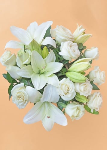 فازة السلامة