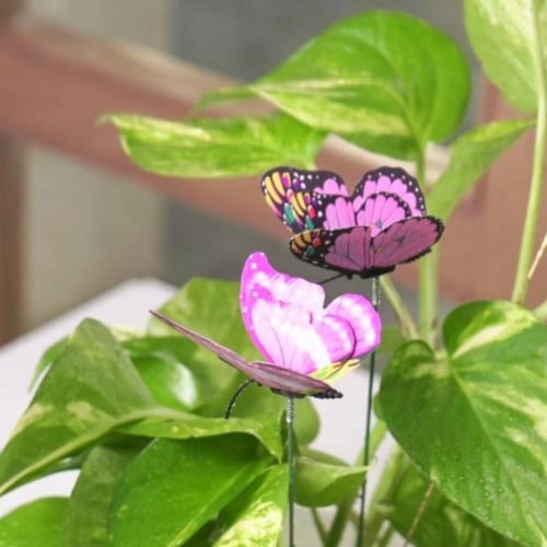 حوض التخرج ( بالاسم )