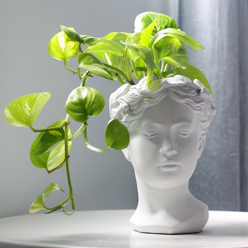 حوض وجه فخاري - لون أبيض ( مع نبات البوتس )