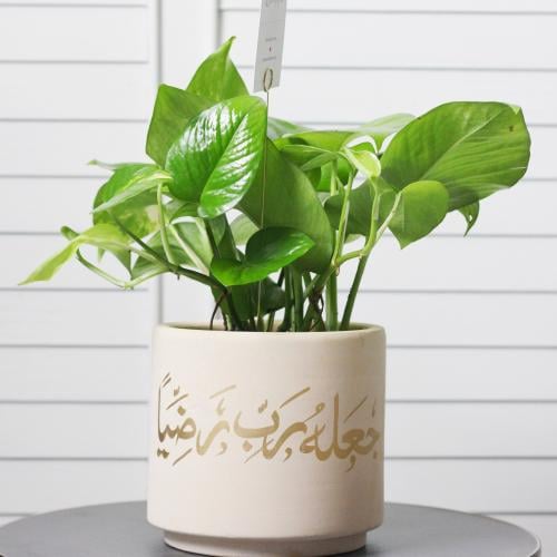 حوض فُخاري ( واجعله ربي رضيا )