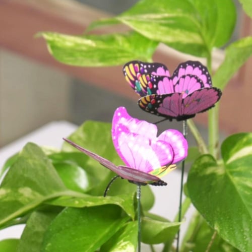 حوض فُخاري ( ربي اجعلني مباركاً اينما كنت ) )