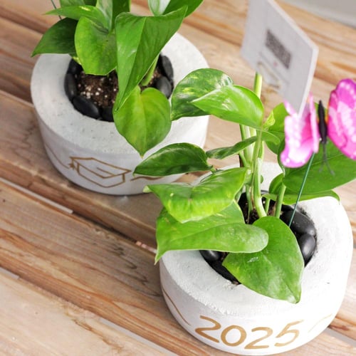 حوض التخرج ( بالاسم )