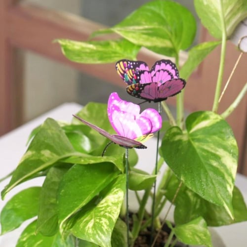 حوض كونكريت حجم صغير