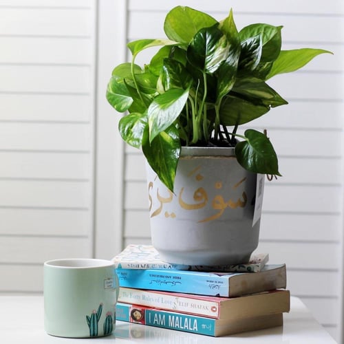 حوض كونكريت حجم وسط ( وأن سعيه سوف يُرى )