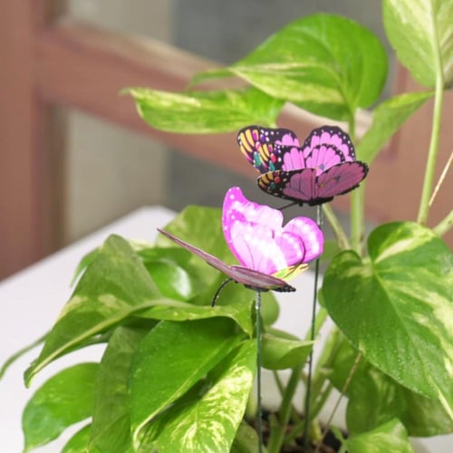 حوض فُخاري ( أينما زرعك الله أزهر )