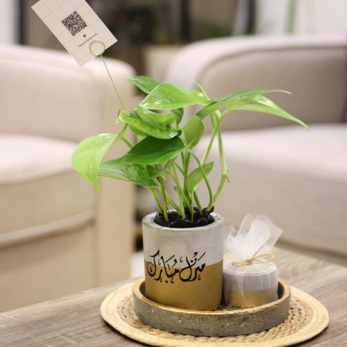 مجموعة المبخر و النبتة مع عبارة ( منزل مبارك )