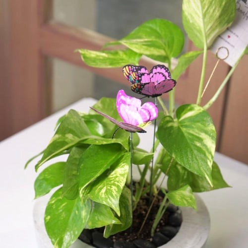 حوض كونكريت ب آية ( واجعله ربي رضياً )