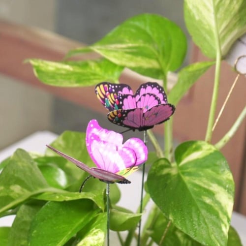 حوض فُخاري بعبارة او اسم مخصص