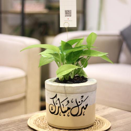 حوض كونكريت بعبارة ( منزل مبارك )