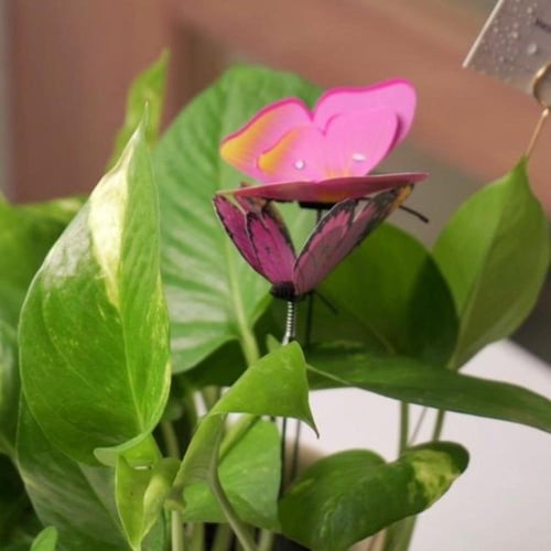 حوض كونكريت عيد سعيد صغير بألوان مختلفة