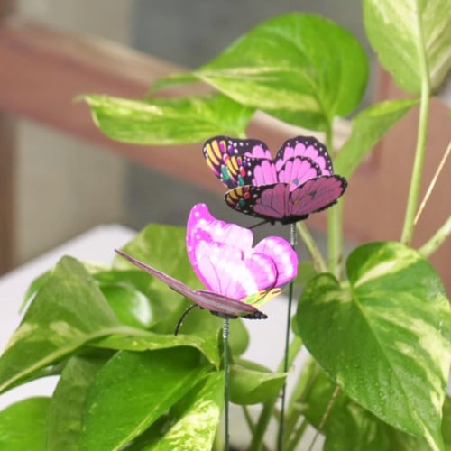 حوض فُخاري ( رب أنرلني مُنزلاً مباركاً وأنت خير ال...