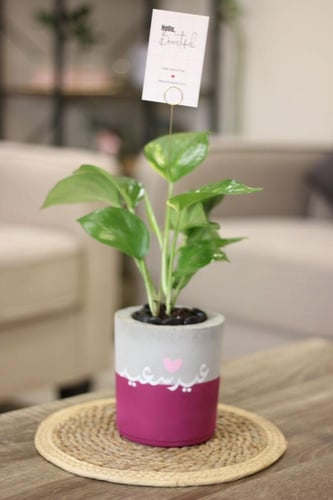 حوض كونكريت عيد سعيد صغير بألوان مختلفة