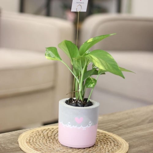 حوض كونكريت عيد سعيد صغير بألوان مختلفة