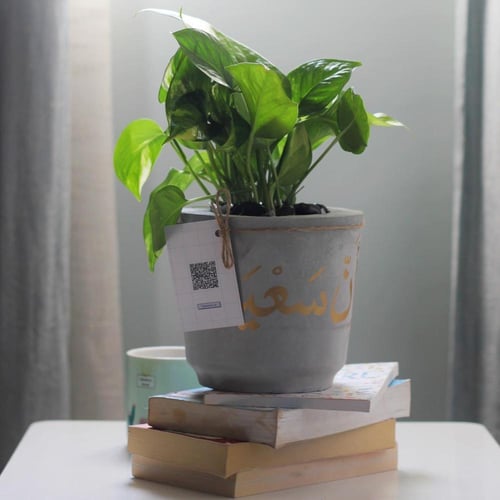 حوض كونكريت حجم وسط ( وأن سعيه سوف يُرى )