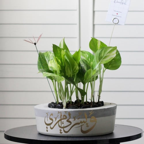 حوض كونكريت بلون اوف وايت ( مخصصه بالأسم )