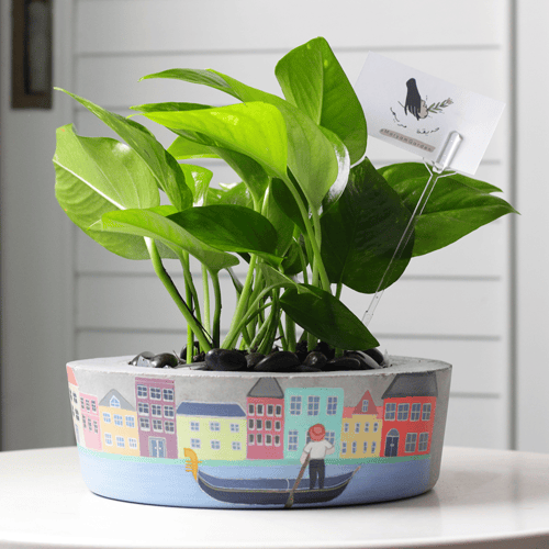 حوض كونكريت ( رسمة مخصصة )