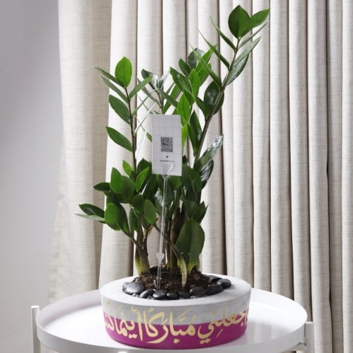 حوض كونكريت بتصميم فوشي ( مخصصه بالأسم )