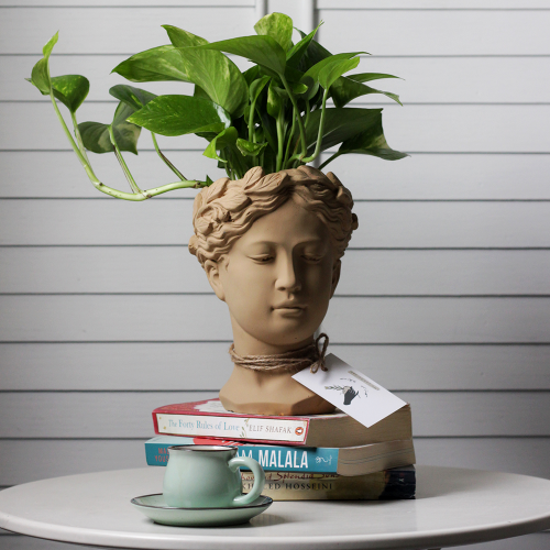 حوض وجه فخاري - لون بيج ( مع نبات البوتس )