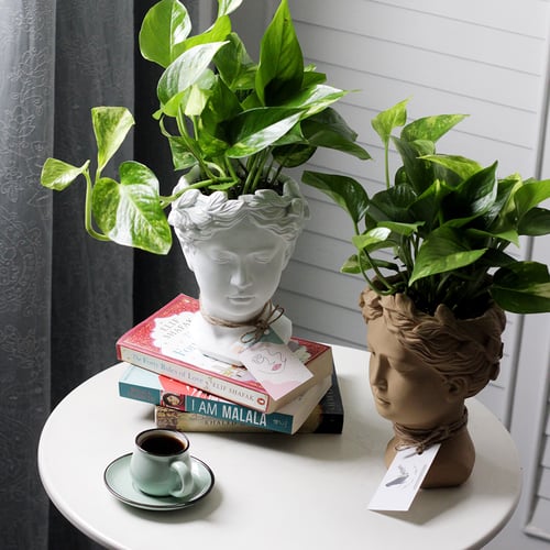 حوض وجه فخاري - لون بيج ( مع نبات البوتس )