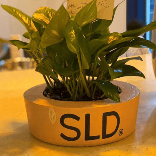 حوض كونكريت رسم اللوقو او الشعار