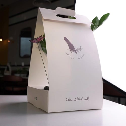 حوض كونكريت بتصميم زيتي ( مخصصه بالأسم )