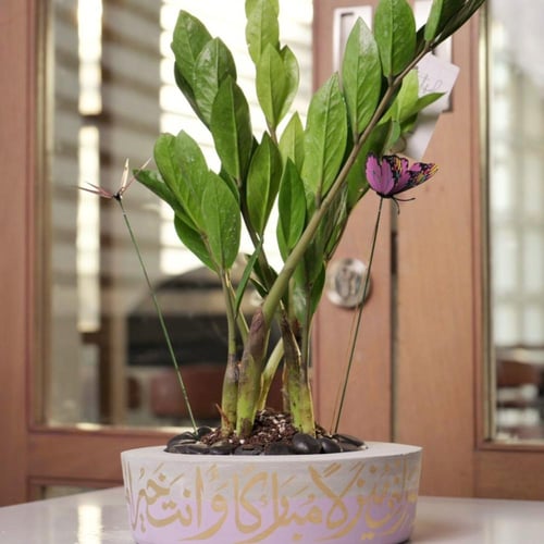 حوض كونكريت بلون اللافندر ( مخصصه بالأسم )