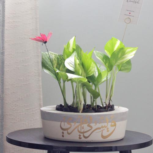 حوض كونكريت بلون اوف وايت ( مخصصه بالأسم )