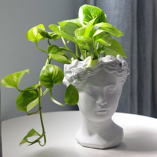 حوض وجه فخاري - لون أبيض ( مع نبات البوتس )