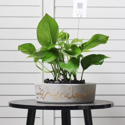 حوض كونكريت ب آية ( واجعله ربي رضياً )