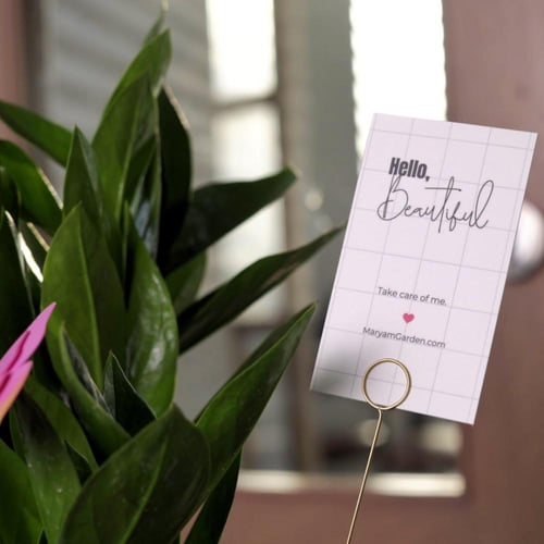 حوض فُخاري بعبارة او اسم مخصص