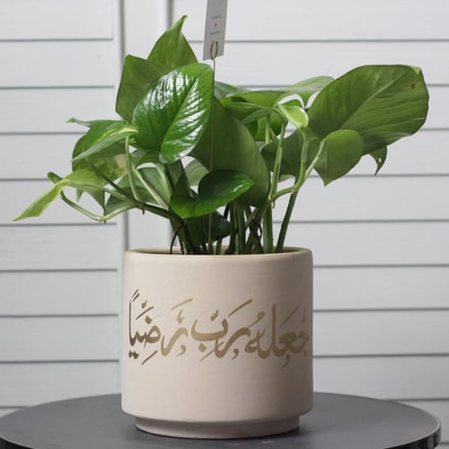 حوض فُخاري ( واجعله ربي رضيا )