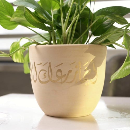 حوض فُخاري ( أينما زرعك الله أزهر )