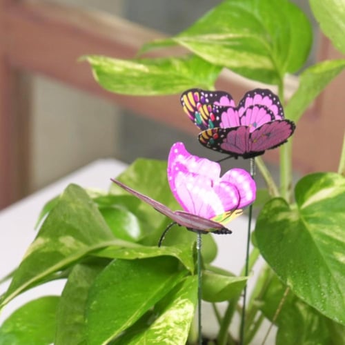 حوض كونكريت بتصميم زيتي ( مخصصه بالأسم )