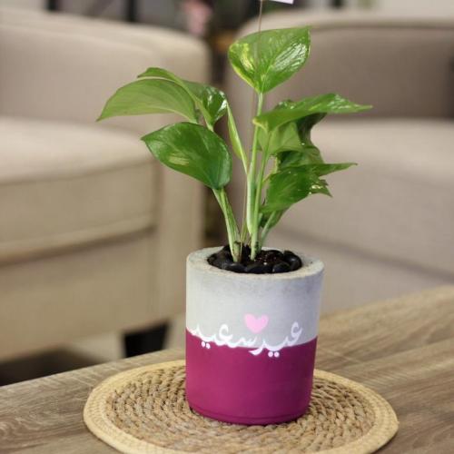 حوض كونكريت عيد سعيد صغير بألوان مختلفة