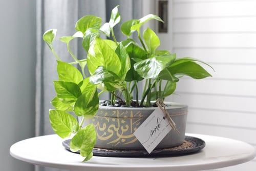 حوض كونكريت (ربِ أنزلني مُنزلاً مباركاً وأنت خير ا...