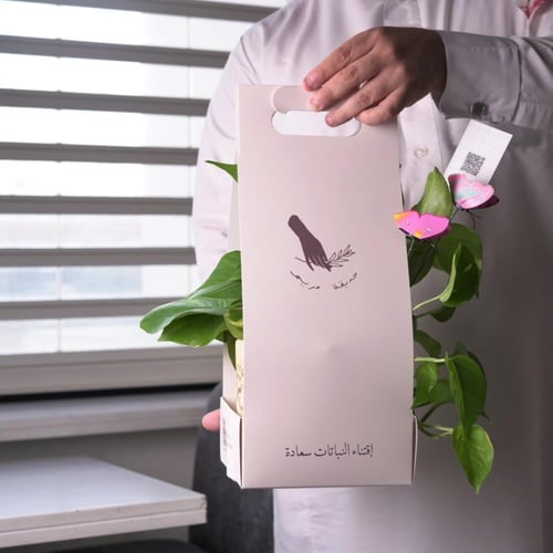 حوض كونكريت بتصميم زيتي ( مخصصه بالأسم )