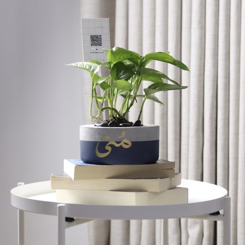 حوض كونكريت حجم صغير بألوان مختلفة