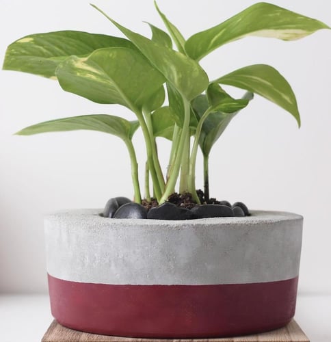 حوض كونكريت حجم صغير