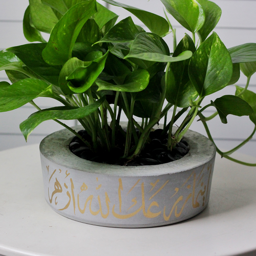 حوض كونكريت بعبارة أينما زرعك الله أزهر