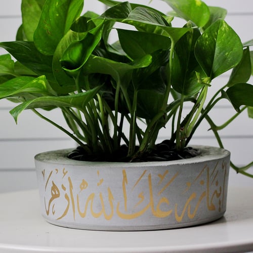 حوض كونكريت بعبارة أينما زرعك الله أزهر