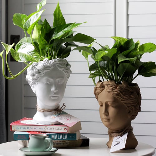 حوض وجه فخاري - لون أبيض ( مع نبات البوتس )