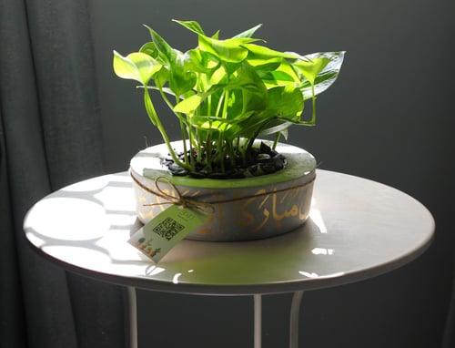 حوض كونكريت بعبارة ربي إجعلني مباركاً أينما كنت