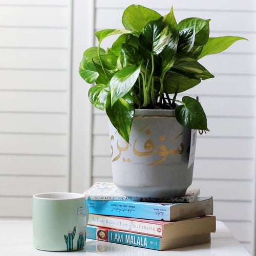 حوض كونكريت حجم وسط ( بالاسم او العبارة )