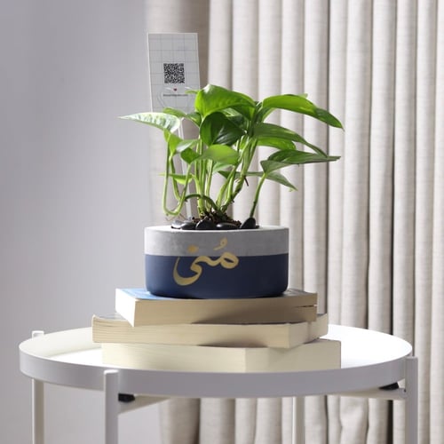 حوض كونكريت حجم صغير