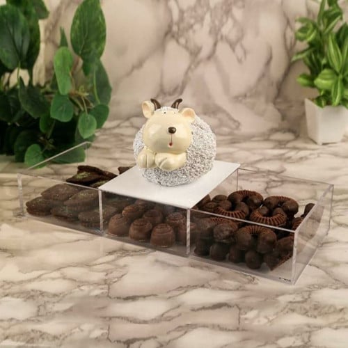 علبه اكريليك مقسمة 3 أقسام