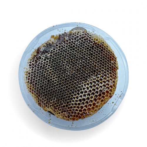 عسل شمع طلح حائل 1 كيلو