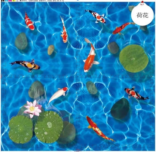 اسفنج البحر