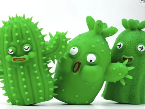 الصبار المطاطي Stretchy Cactus